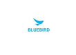 Logo Bluebird