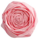 Carta crespa