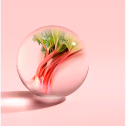 Molton Brown Delicious Rhubarb & Rose Eau de Toilette 100ml - Vista aggiuntiva 4