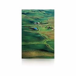 Epson Premium SemiGloss Photo Paper(250), in rotoli da 152, 4cm x 30, 5m, Semi lucida, 250 g/m², 0,96%, Epson Stylus Pro 1188 ...