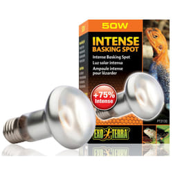 Lampada spot intensa, 50 w - Exo Terra
