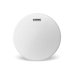 Evans B16G1 accessorio per tamburo Tom tom Testa del tamburo