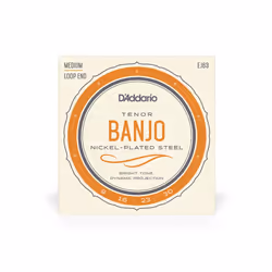 D'Addario EJ63 corda per strumenti musicali 4 pz Acciaio Banjo - Vista aggiuntiva 2