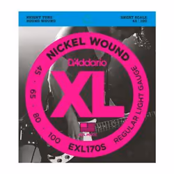D'Addario EXL170S, Chitarra, Acciaio, Basso, 4 pz