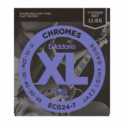 D'Addario ECG24-7, Chitarra, Elettrico, 7 pz