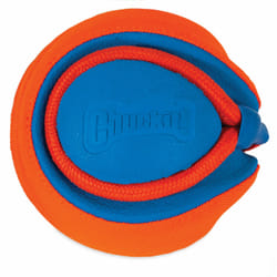 Chuckit! 32220 giocattolo per cani e gatti