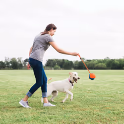 Chuckit! 32220 giocattolo per cani e gatti - Vista aggiuntiva 5