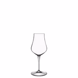 Bormioli Luigi Spirits Snifter, Bicchiere da liquore, 170 ml, Vetro, Trasparente, 6 pz, Luigi Bormioli