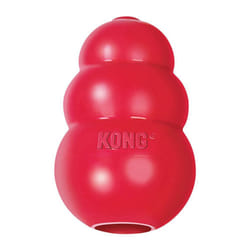 Classic Gioco per cani in Gomma - Large (l) - Kong