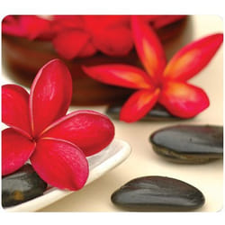 Fellowes 5904601 tappetino per mouse Nero, Marrone, Rosso