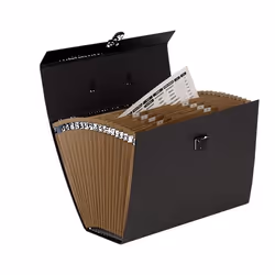 Fellowes Organizer espandibile Bankers Box Handifile - Nero