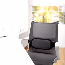 Fellowes 8042301 schienale Nero, Grigio Poliestere Schienale a rete
