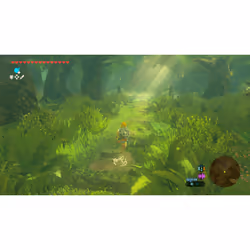 Nintendo The Legend Of Zelda: Breath Of The Wild - Switch 2 Edition Tedesca, DUT, Inglese, ESP, Francese, ITA, Giapponese, Coreano, Russo Nintendo Switch 2 - Vista aggiuntiva 4