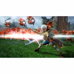 Nintendo Hyrule Warriors Standard Wii U