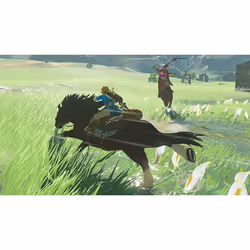 Nintendo The Legend of Zelda: Breath of the Wild Standard Nintendo Switch