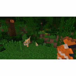 Nintendo Minecraft Standard Nintendo Switch