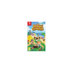 Nintendo NSW-0113 videogioco Standard Inglese Nintendo Switch