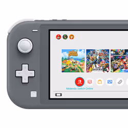 Nintendo Switch Lite console da gioco portatile 5.5" 32 GB Touch screen Wi-Fi Grigio - Vista aggiuntiva 4