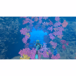 Nintendo Endless Ocean Luminous + 7 giorni di NSO - Vista aggiuntiva 5