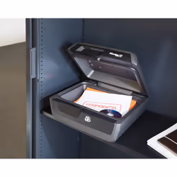 MASTER LOCK LCFW30100 cassaforte Nero, Antracite