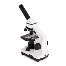 Celestron LABS CM800 800x Microscopio ottico - Vista aggiuntiva 4