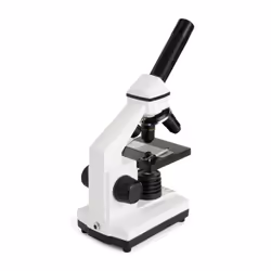 Celestron LABS CM800 800x Microscopio ottico - Vista aggiuntiva 5