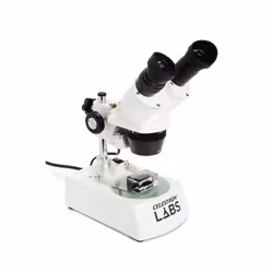 Celestron LABS S10-60 60x Microscopio ottico - Vista aggiuntiva 3