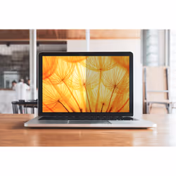 3M Filtro Privacy Bright Screen per 16 pol Laptop a Schermo Pieno, 16:10, BP160W1E - Vista aggiuntiva 5