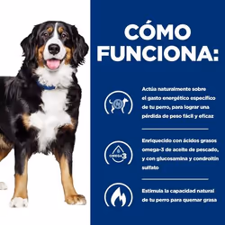 Hills 605884 cibo umido per cani Pollo, Manzo Universale 12 kg - Vista aggiuntiva 4