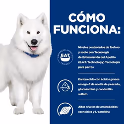 Hills 605882 cibo umido per cani Manzo Universale 12 kg - Vista aggiuntiva 4