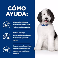 Hills 605640 cibo umido per cani Pollo, Manzo Universale 354 g - Vista aggiuntiva 4