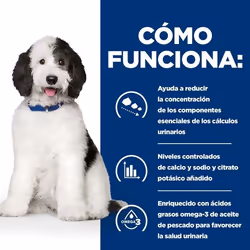 Hills 605640 cibo umido per cani Pollo, Manzo Universale 354 g - Vista aggiuntiva 5