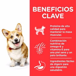 Hills 604233 cibo secco per cani 6 kg Pollo, Manzo - Vista aggiuntiva 4