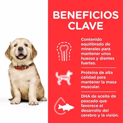 Hills 604387 cibo secco per cani 14 kg Pollo, Manzo, Maiale - Vista aggiuntiva 4