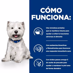 Hills 606168 cibo umido per cani Manzo Universale 6 kg - Vista aggiuntiva 5