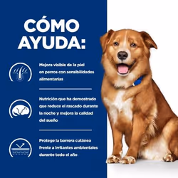 Hills 606428 cibo umido per cani Manzo Universale 370 g - Vista aggiuntiva 4