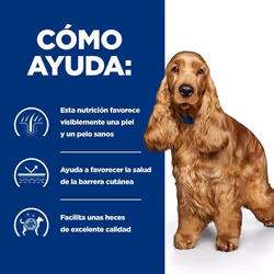 Hills 606372 cibo umido per cani Pollo, Manzo Universale 370 g - Vista aggiuntiva 4