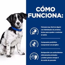 Hills 606414 cibo umido per cani Pollo, Manzo, Maiale Universale 156 g - Vista aggiuntiva 5