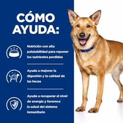 Hills 606448 cibo umido per cani Pollo, Manzo, Maiale Universale 354 g - Vista aggiuntiva 5