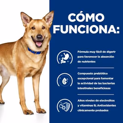Hills 605862 cibo umido per cani Pollo, Manzo Universale 12 kg - Vista aggiuntiva 4