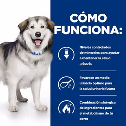 Hills 605856 cibo umido per cani Manzo Universale 1,5 kg - Vista aggiuntiva 4
