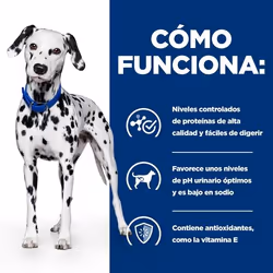 Hills 605840 cibo umido per cani Manzo Universale 10 kg - Vista aggiuntiva 4