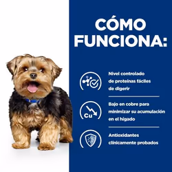 Hills 605844 cibo umido per cani Manzo Universale 4 kg - Vista aggiuntiva 4
