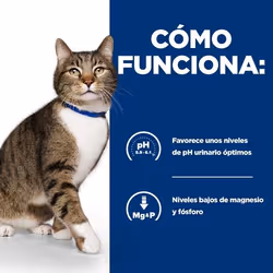 Hills 605897 cibo umido per gatti 3 kg - Vista aggiuntiva 4