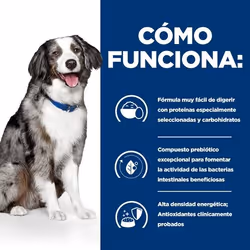 Hills 605998 cibo umido per cani Manzo Universale 4 kg - Vista aggiuntiva 4