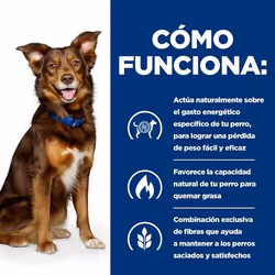 Hills 606148 cibo umido per cani Manzo Universale 12 kg - Vista aggiuntiva 4