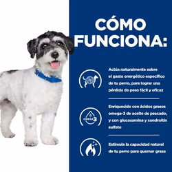 Hills 606209 cibo umido per cani Pollo, Manzo Universale 6 kg - Vista aggiuntiva 4
