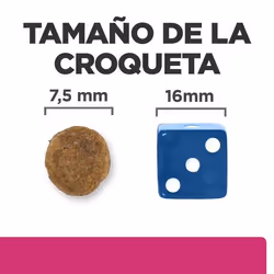 Hills 606202 cibo umido per cani Pollo, Manzo Universale 3 kg