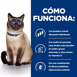 Hills 606260 cibo umido per gatti 6 kg - Vista aggiuntiva 4