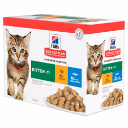 Hill's Feline Kitten